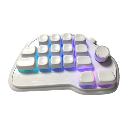 Buxuaaaa メカニカルテンキー VIA プログラマブル 17 ホットスワップ可能 USB テンキーパッド、PBT キーキャップおよび RGB バックライト付き、ラップトップ、デスクトップ用 PBT キーキャップ RGB バックライト付き