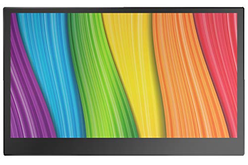 KEIAN 恵安 13.3型 ADSパネル 量子ドット技術採用 モバイルモニター カバースタンド&レザーケース付属, ブラック KIGP133FQ-E