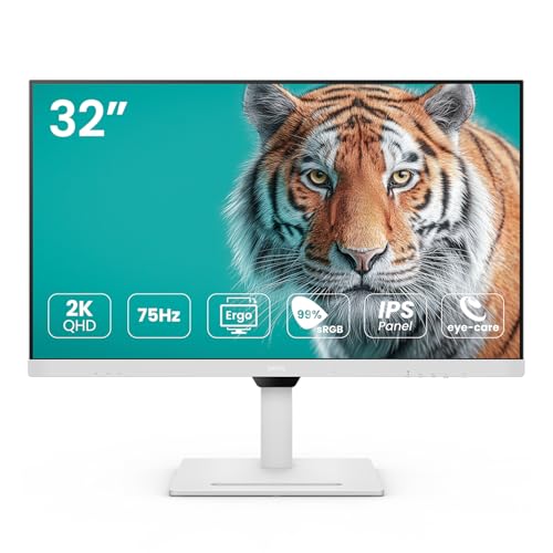 BenQ GW3290QT アイケア液晶ディスプレイ 31.5型/ 2560×1440/ HDMIx1、DisplayPortx1、USB Type-Cx2（7.5W/ 65W給電…