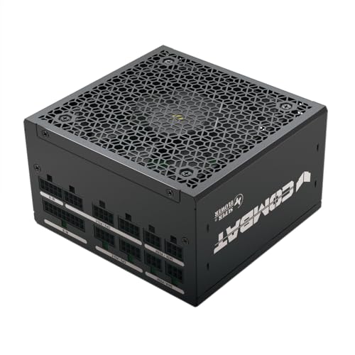 SUPER FLOWER Combat FG 650W 80+ ゴールド、フルモジュラー、ATX 3.1 / PCIe 5.0、W/12V-2x6ケーブル(2x8pin - 16pinネイティブケーブル)、電源、FDBファン、SF-650C12FG、ブラックバージョン