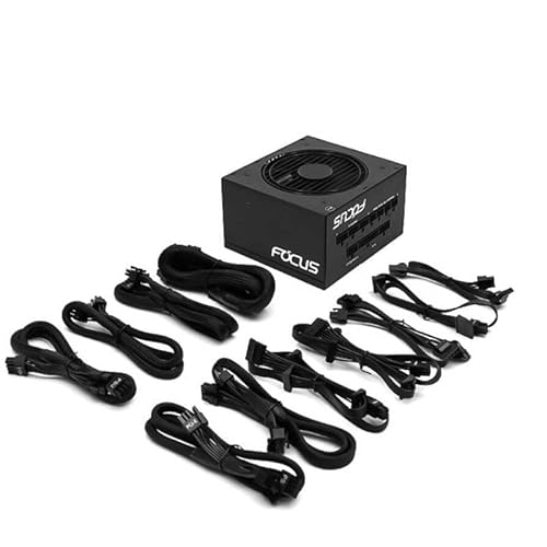 PSU For 80plus Gold Full Module RX2070 RX5700 Rated 550W Peak 650W 電源 FOCUS GX-550W FOCUS+650FX ZQHj_Sera_13174