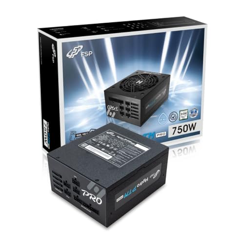 【並行輸入品】 FSP Hydro PTM Pro 750W 80 Plus プラチナ フルモジュラー ATX 12V 電源 (HPT2-750M)