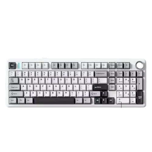 PgxkVfnKA メカニカルゲーミングキーボード 96パーセントレイアウト、ホットスワップ対応スイッチ、ガスケットマウントデザイン、8000mAh USB C 50 24Gワイヤレス接続、F99 PROモデルと互換性あり(Black White Gray) PgxkVfnKA123