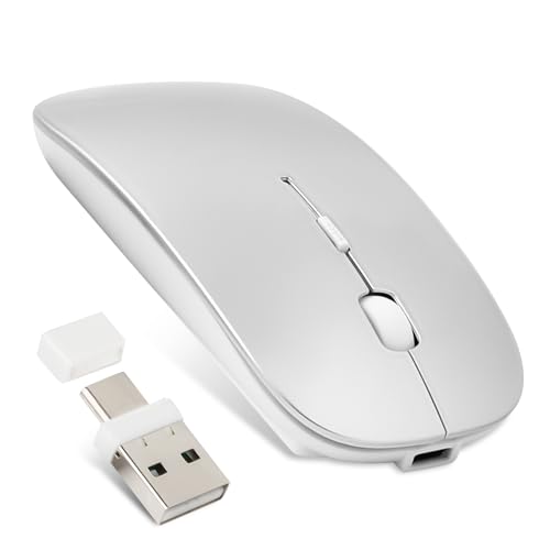 Scheki マウス Bluetooth Type-C充電式 ワイヤレスマウス 静音 充電式 薄型 小型 無線マウス 2.4GHz 3DPIモード 高精度 持ち運び便利 Mac/Windows/Surface/Macbook/iPad/PCに対応 TELEC認証取得済み (シルバー)