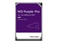 Western Digital WD101PURP [10TB SATA600 7200]