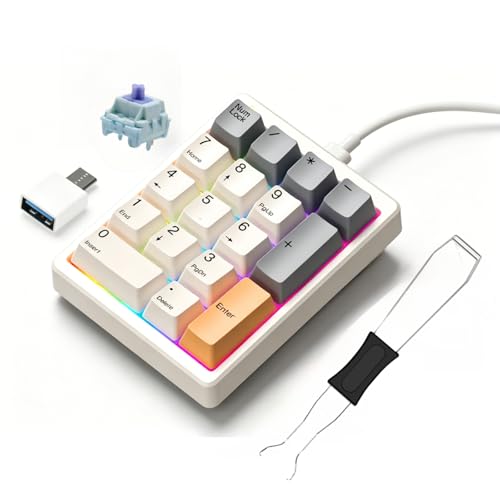 Levieny メカニカルテンキー 17 キー 紫軸 QMK/VIA 対応 プログラマブルマクロキーボード USB 有線 Type-C ホットスワップ PBT キーキャップ RGB ライト 矢印キー付 PC ノート兼用 会計士・ゲーマー向け省力設計 USB 変換アダプタ・抜軸工具付 日本独占先行販売