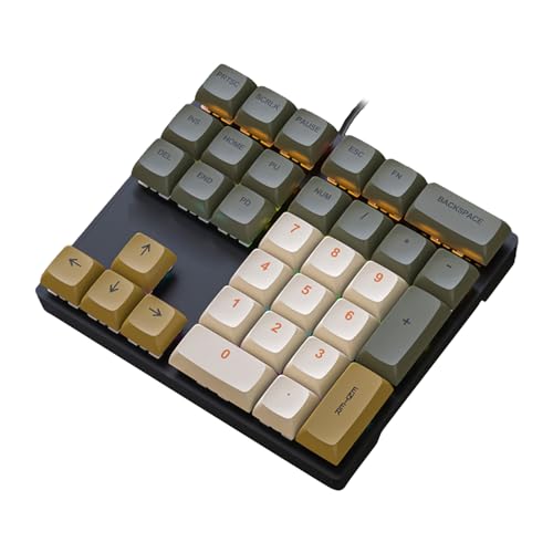 VIBRIPRIYA ワイヤー 33 キー ワイヤー バックライト付きメカニカル テンキー タイプ C 外部ノートブック ラップトップ テンキーパッド キーライン分離 ゲーミング キーボード メカニカル テンキー パッド ゲーム アクセサリー JP117240905