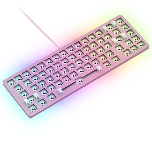 GLORIOUS Gaming GMMK 2 Compact 65%ベアボーン(フレームのみ) - メカニカルゲーミングキーボードフレーム コンパクトTKL サイズ(65%) アルミニウム カスタマイズ可能 キーごとにRGB American QWERTYレイアウト - ピンク GLO-GMMK2-65-RGB-P