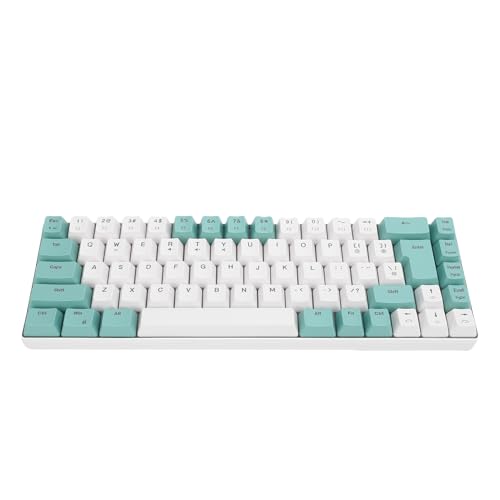 XUMIUZIY 60%有線ゲーミングキーボード RGBバックライト超コンパクト68キーミニゲーミングキーボード アンチゴースト&マルチメディアキー USB有線コンピュータキーボード Wins/OS X PC用 (グリーンホワイト) XUMIUZIYumxcr08fkn-11