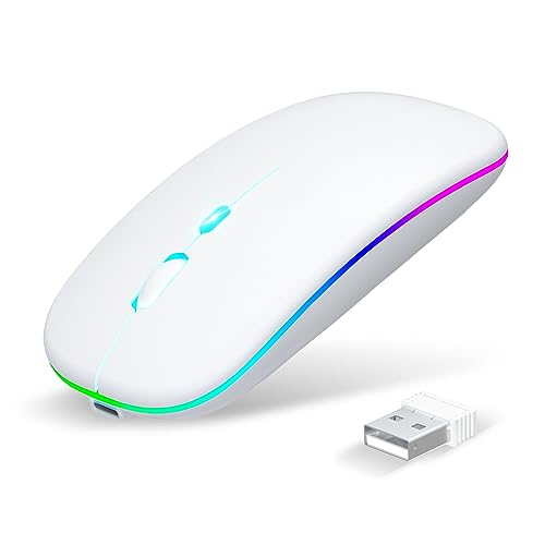 Adare マウス 無線 Bluetooth 5.2 【Type-C充電式 ＆ 静音】 ワイヤレスマウス 薄型 小型 パソコン 瞬時接続 省エネ 高感度 ブルートゥース ゲーミングマウス 2.4GHz 3段階DPI切替 2台デバイス同時接続 7色ライト 500mAhバッテリー 光学式 高耐久性 mac/ノートパソコン/タブレット/ipad 対応(White) wm1