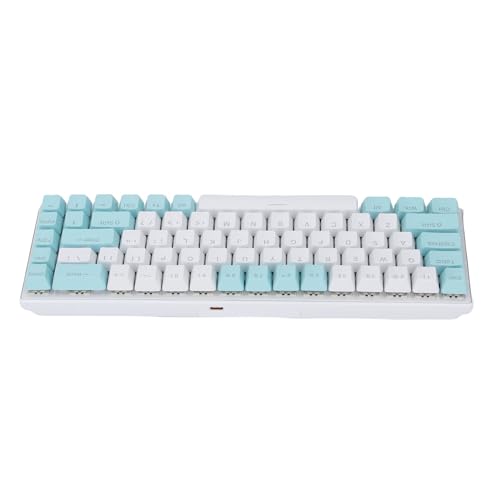 Asixxsix メカニカルゲーミングキーボード、68キー60%RGBブルースイッチ有線オフィスボードアンチゴースト、2色キャップライトアップ取り外し可能なUSBケーブルPCラト用 (緑白) Asxy71oslmgq-14