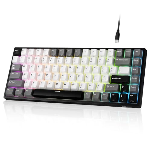 RK ROYAL KLUDGE RK84 有線 75% TKL RGB ホットスワップ対応メカニカルゲーミングキーボード、US QWERTY