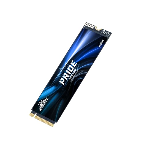 KingSpec M.2 NVMe 512GB｜KingSpec OneBoom Gen4x4 TCL