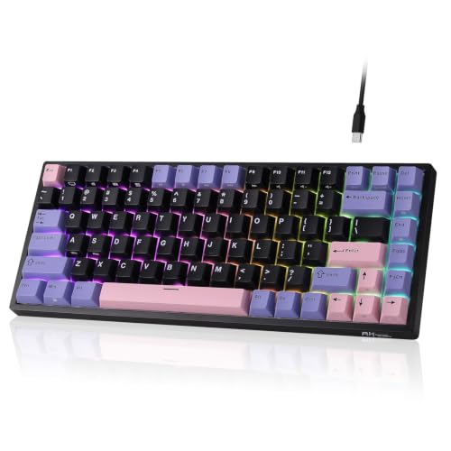 RK ROYAL KLUDGE RK84 有線 75% TKL RGB ホットスワップ対応メカニカルゲーミングキーボード、US QWERTY