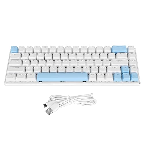Vikye メカニカルゲーミングキーボード RGBバックライト コンパクト68キー ミニ有線オフィスキーボード ブルースイッチ付き AndroidPCノートパソコン用 Windowsに最適 Vikyemgep0t1szh-13