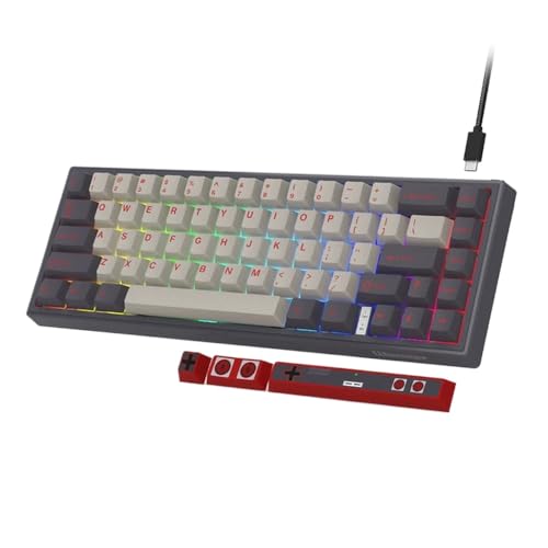 TKYQ V-K66 60% メカニカル ゲーミング キーボード 有線ガスケット搭載 ホットスワップ LED バックライト付きコンパクト キーボード 矢印付き ほとんどのゲーム システムと互換性あり(VK66 RETRO A) TKYQ(とう)996
