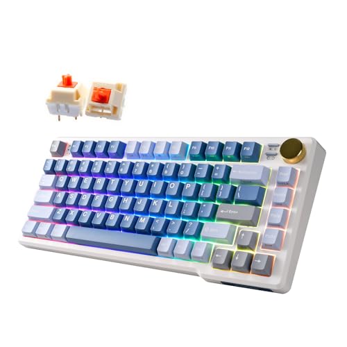 i-rocks iRocks K103R ワイヤレス 充電式 RGB 75% メカニカル ゲーミング キーボード ホットスワップ可能 潤滑済みスイッチ 81 PBT キー ガスケットマウント USB-C 取り外し可能なケーブル (オーシャンブルー バブルスイッチ)