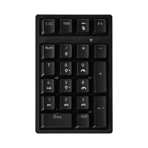 テンキー メカニカル 有線 22キー 青軸 テンパッド 経理 会計 パソコン USB キーボード エクセル 人間工学 ノートPC (ブラック)