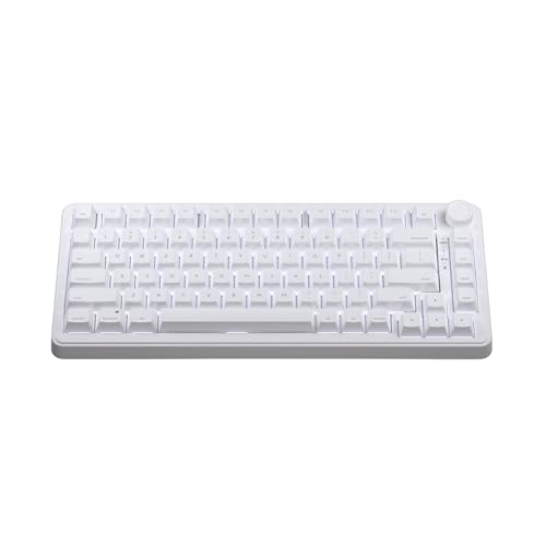 ゲーミングキーボード ラピッドトリガー ポーリングレート8000Hz対応 US配列 有線 75%サイズ バックライトLED ゲーミングキーボード 磁気式スイッチ SDFSX80