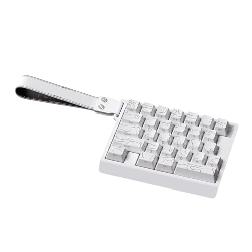 Linvimia Advanced Axisesテクノロジーゲーミングキーボード 8Kレスポンスレートとメタルベースハイレスポンスレートキーボード