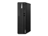 ThinkCentre M70s Small 11EW002JJP G5900 