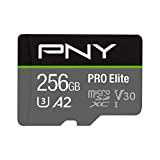 P-SDU256V32100PRO-GE [256GB]