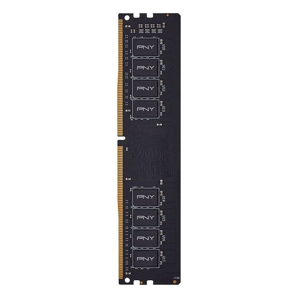 PNY MD16GSD4320016 TB [DDR4 PC4 25600 16GB] 