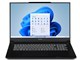 SENSE-17WG181-i7-VL1X Core i7 13700HX 　 13700HX 4080 