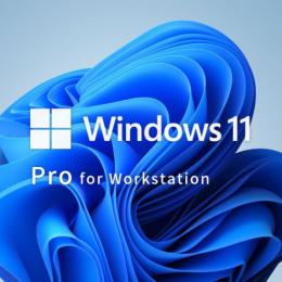 Windows 11 Pro for Workstation 64bit 日本語 DSP版