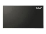 PN-V553 [55インチ]