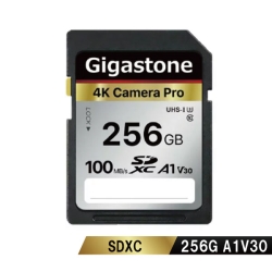GJSX-256GV3A1 [256GB]