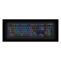 REALFORCE RGB R2A-US4G-BK