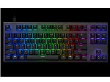 REALFORCE GX1 Plus X1PD13 