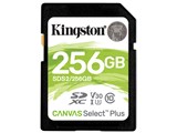 SDS2/256GB [256GB]