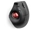 Pro Fit Ergo Vertical Wireless Trackball K75370JP [ブラック]